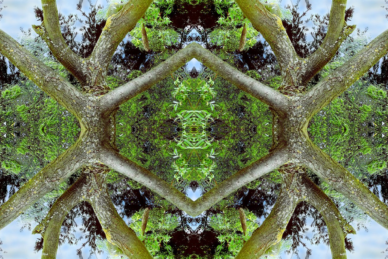 Unnatural 65.2 by Giovanni Cafagna