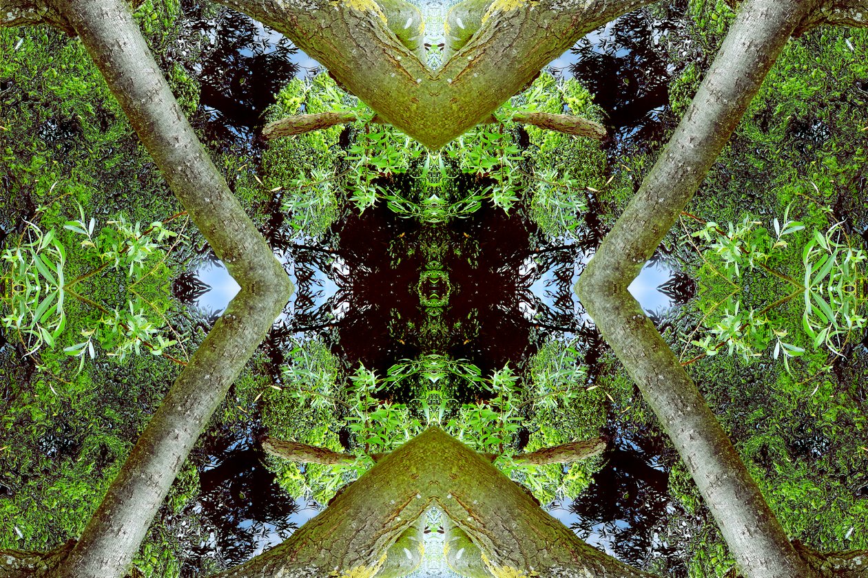 Unnatural 65.3 by Giovanni Cafagna