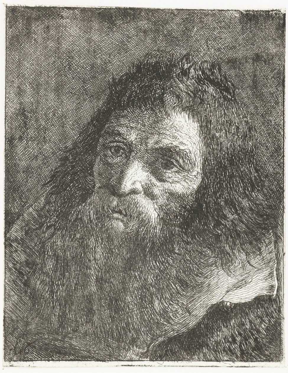 Man with Long Hair and Beard by Giovanni Domenico Tiepolo