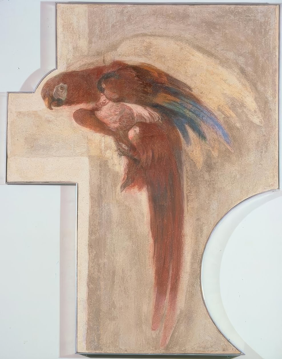 Parrot by Giovanni Domenico Tiepolo
