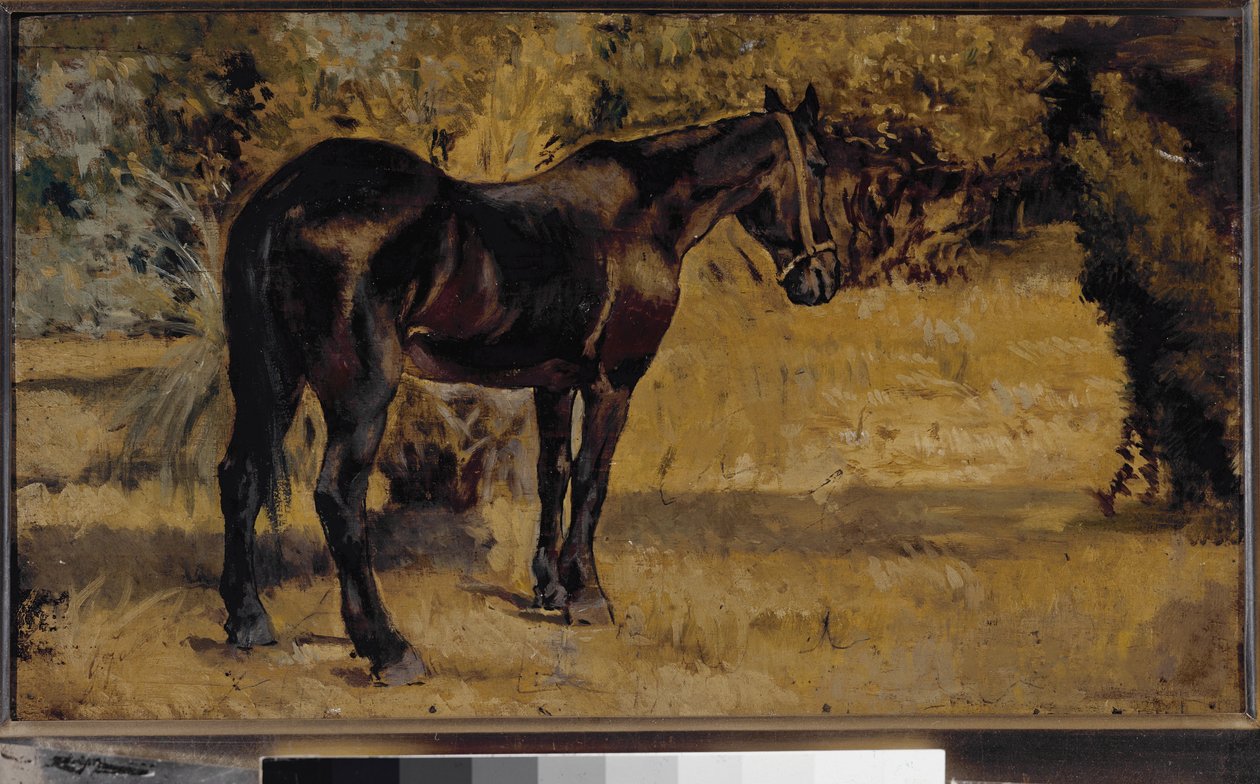 Dark Horse by Giovanni Fattori