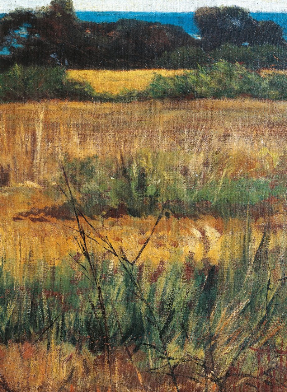 Maremma Toscana, circa 1894 (detail) by Giovanni Fattori