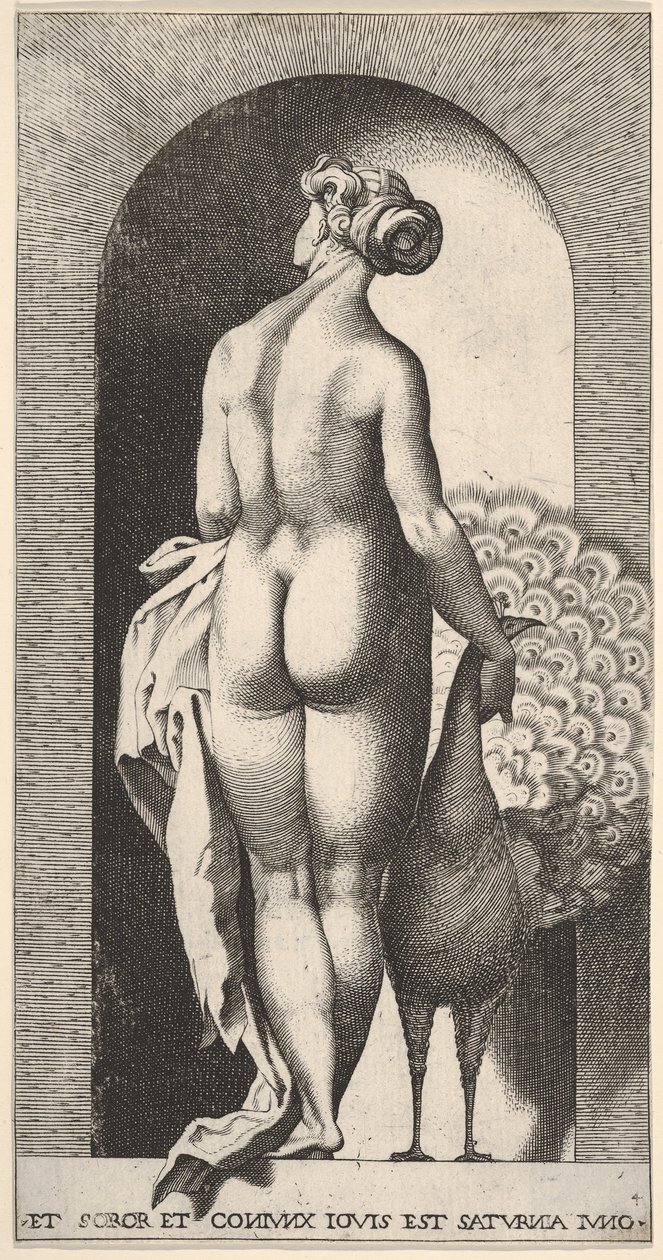 Plate 4: Juno standing in a niche, viewed from behind, stroking a peacock to her right, 1526 by Giovanni Jacopo Caraglio