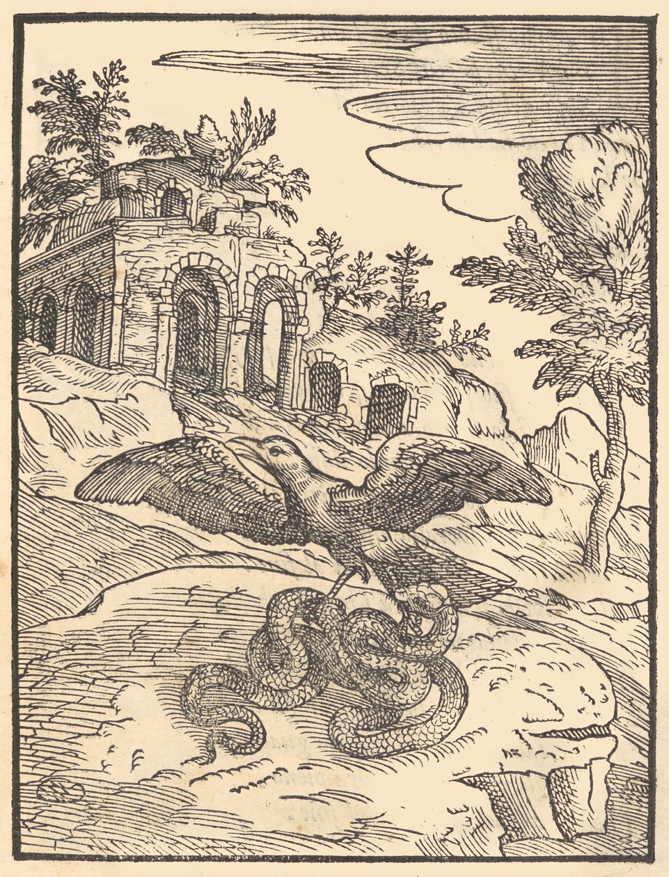 Bird and Snake by Giovanni Maria Verdizotti