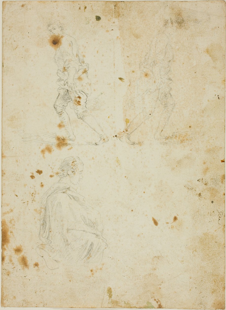 Studies of Male Figures by Giovanni Paolo Panini