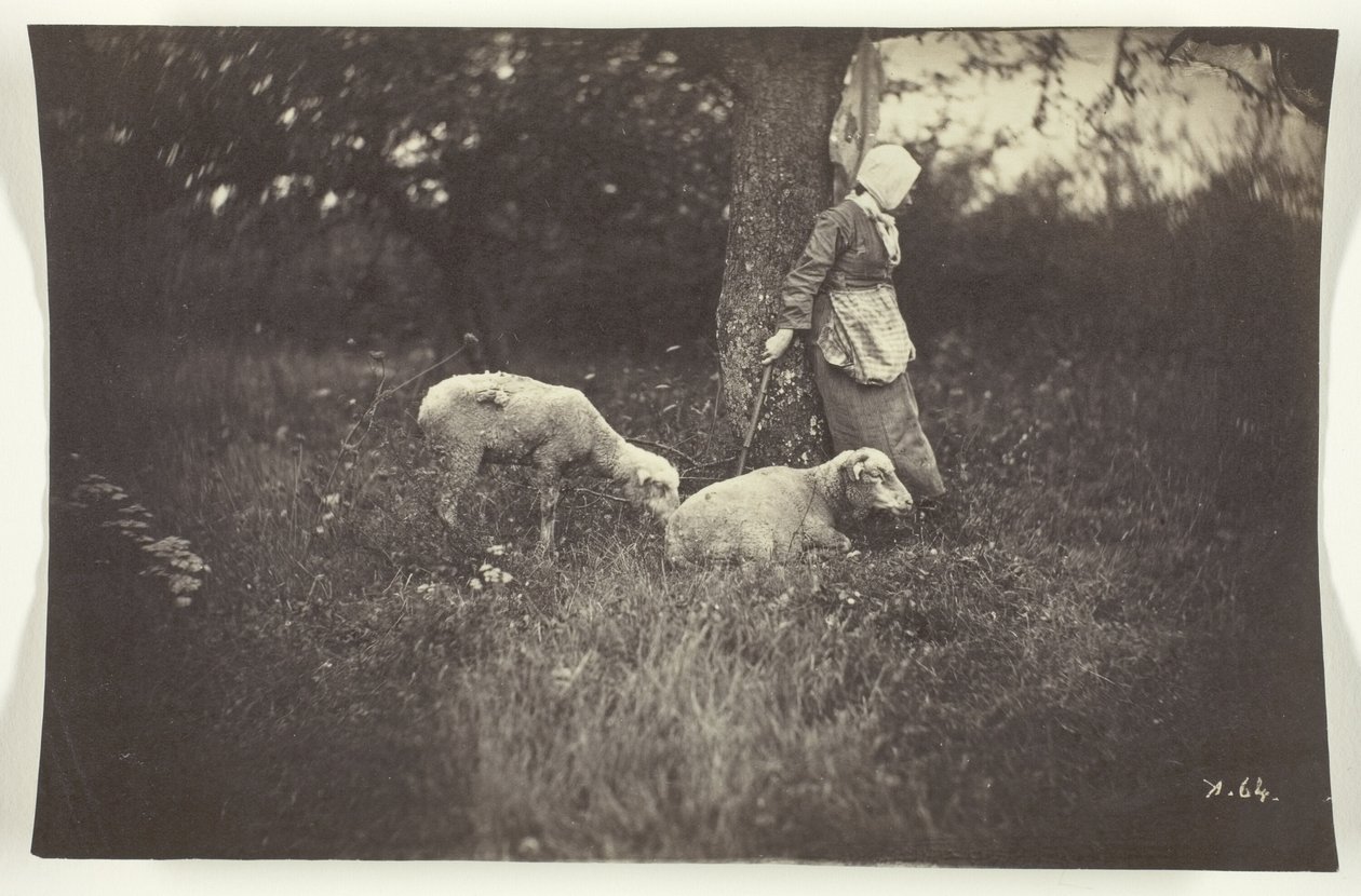 Shepherdess Leaning Against a Tree, with Two Sheep by Giraudon