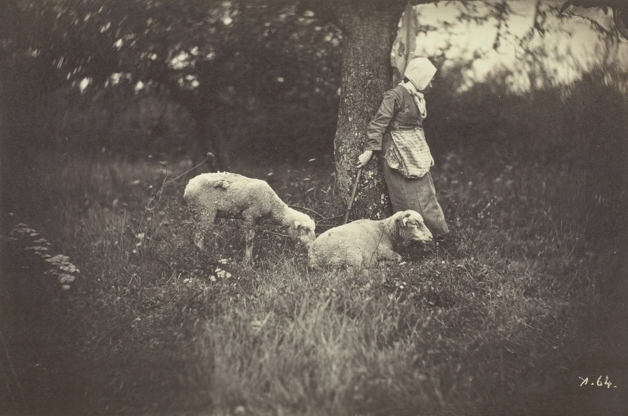 Shepherdess Leaning Against a Tree, with Two Sheep by Giraudon