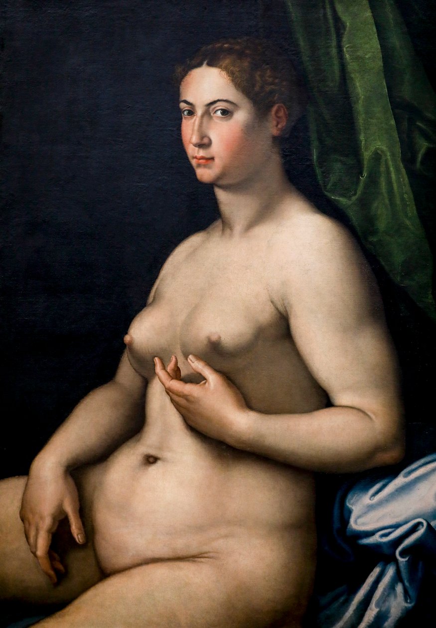 Portrait of a woman by Girolam Siciolante