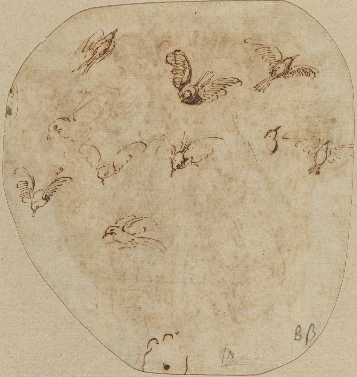 Birds in Flight by Girolamo Mazzola Bedoli