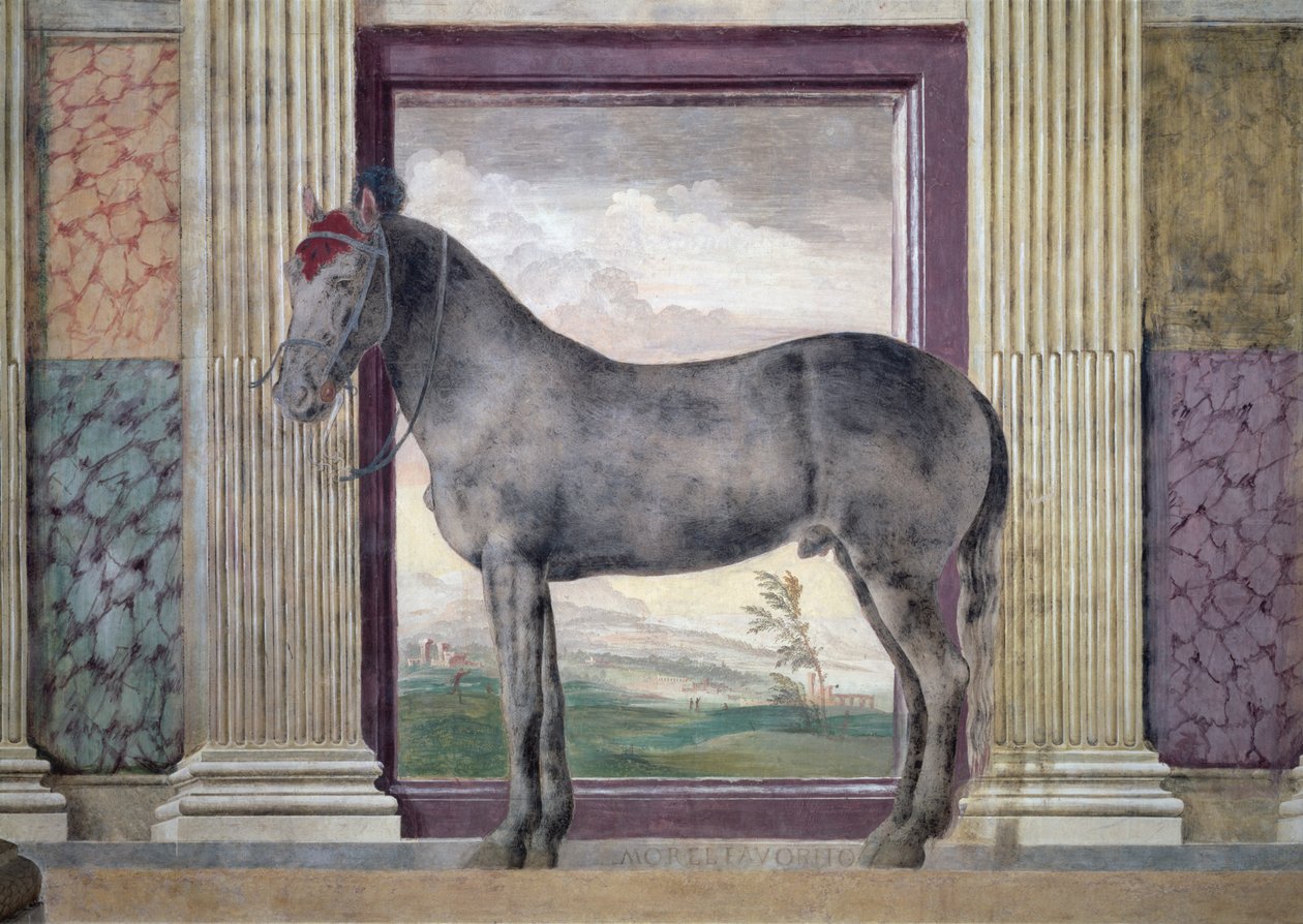 Sala dei Cavalli, (detail) by Giulio Romano
