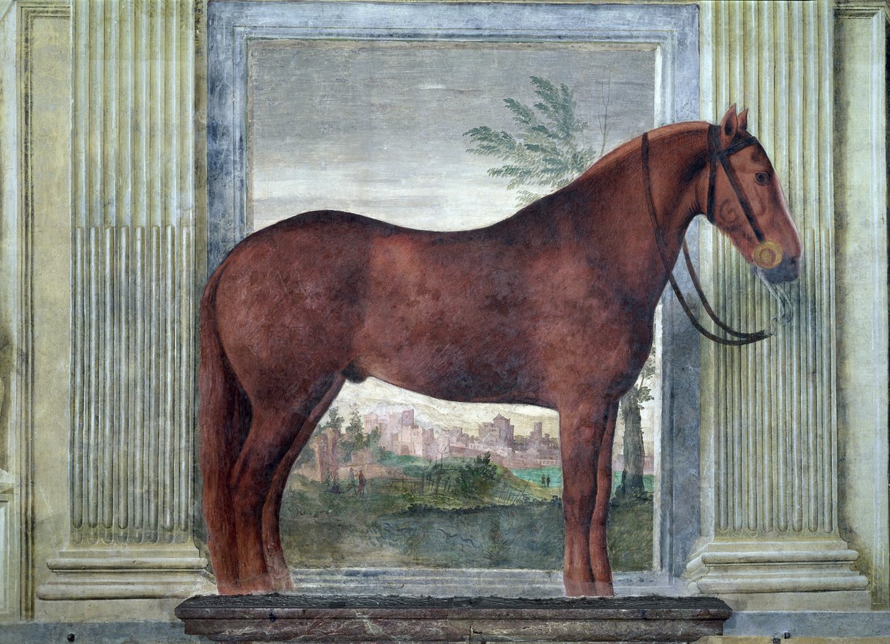 Sala dei Cavalli (detail) by Giulio Romano