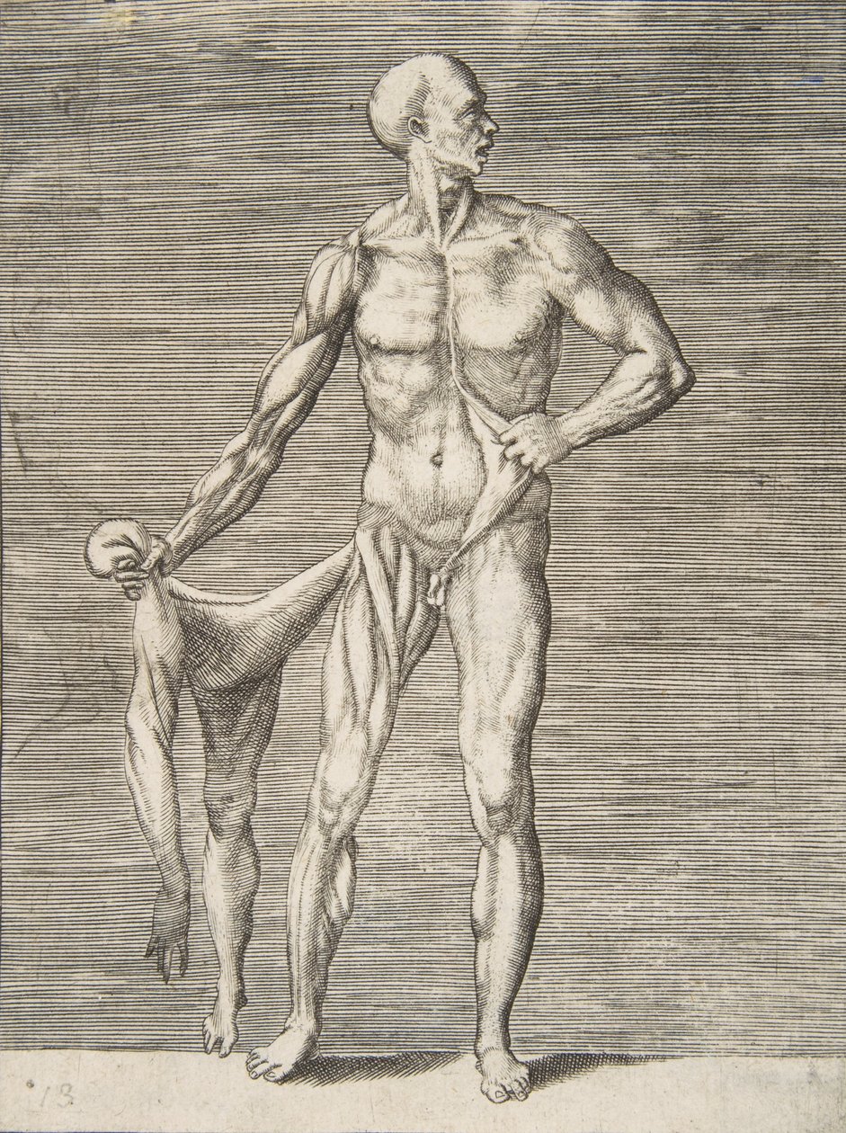 Man Seen from the Front, Holding the Skin of His Right Arm and Leg in His Right Hand by Giulio Bonasone