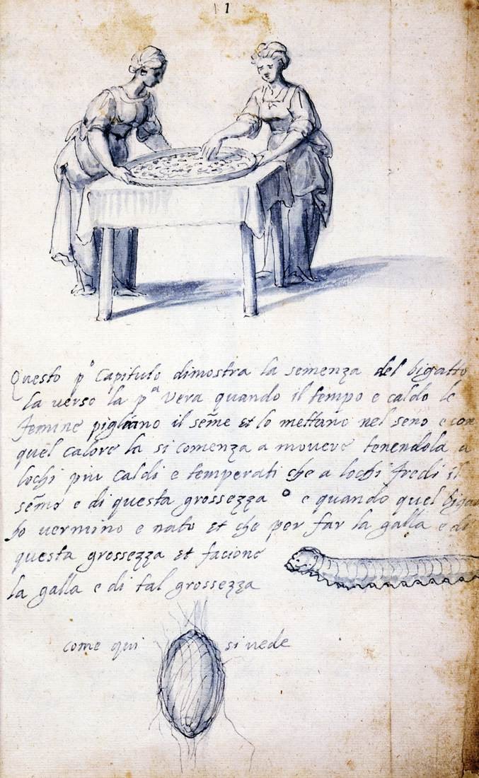 Treatise on Silk Culture and Manufacture (Series of Thirteen Drawings, No. 1) by Giuseppe Arcimboldo