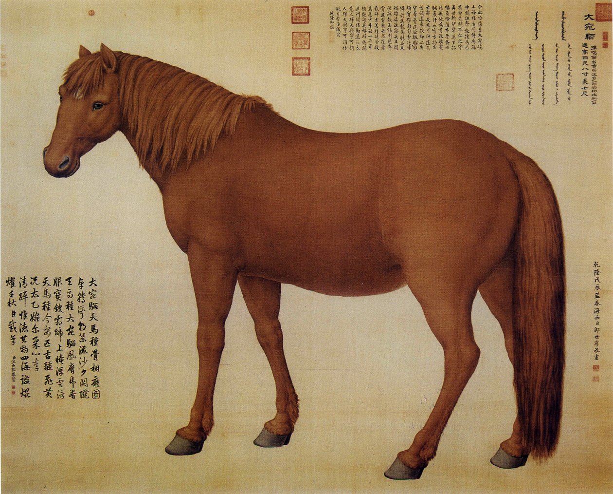 A Horse Named Dawanliu by Giuseppe Castiglione