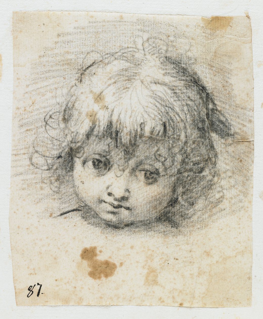 Portrait of a Child by Giuseppe Cesari