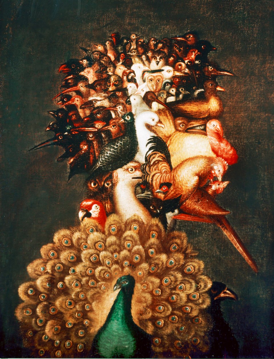 Air. From a Series of the Four Elements by Giuseppe Arcimboldo