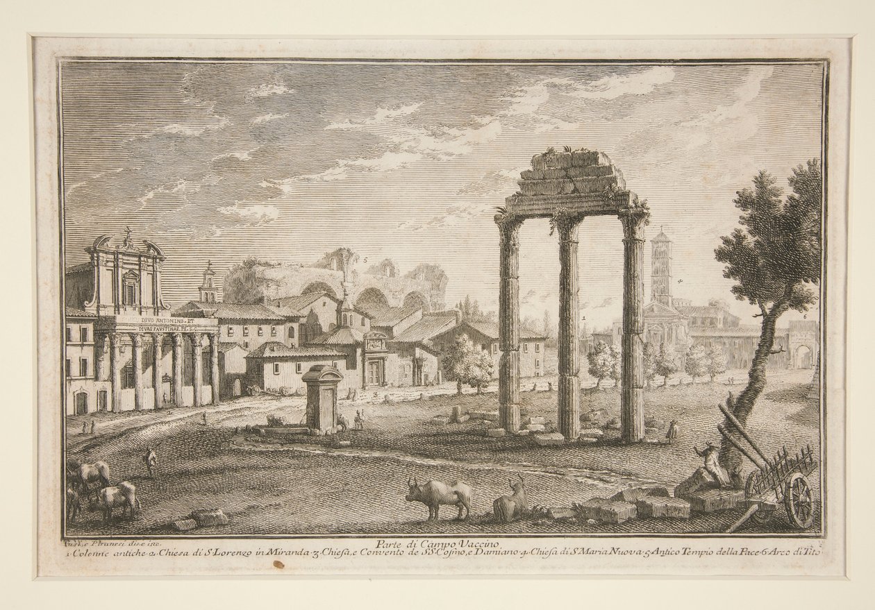 Part of the Campo Vaccino by Giuseppe Vasi