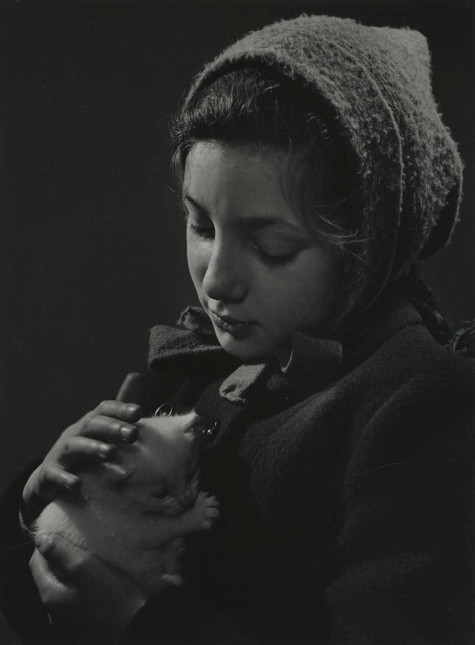 Girl holding a white kitten in her arms by Godfrey Macdominic