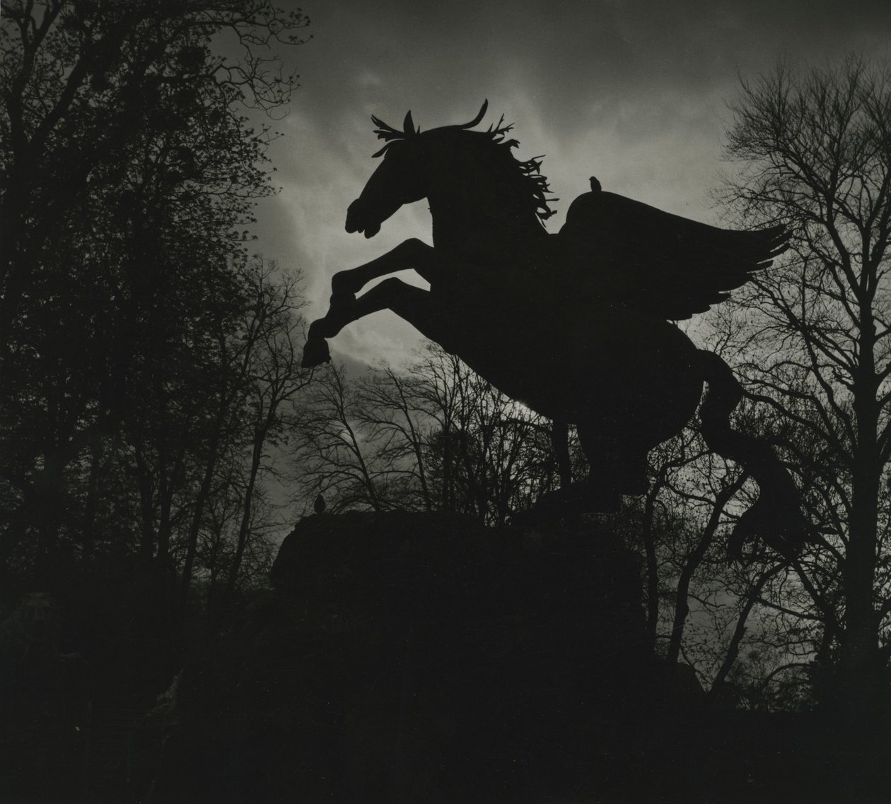 Pegasus statue in the Mirabell Gardens by Godfrey Macdominic