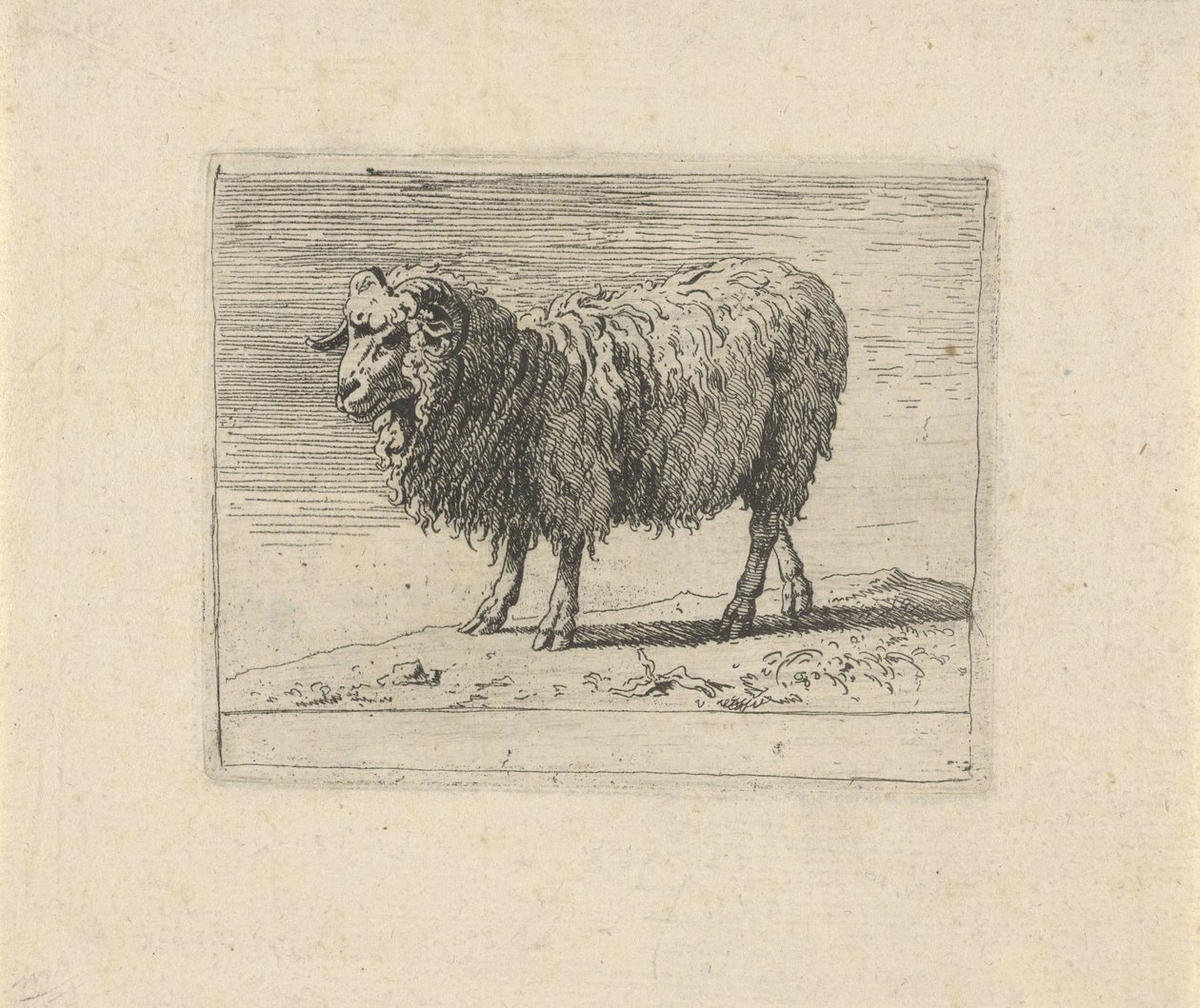 Ram by Govert van der Leeuw