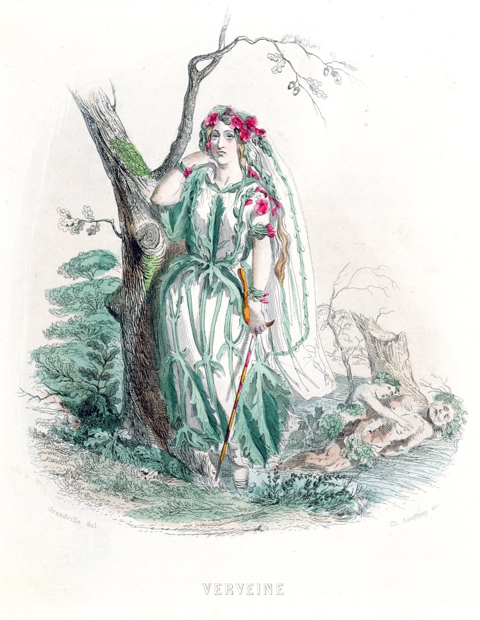 The Vervain, from 