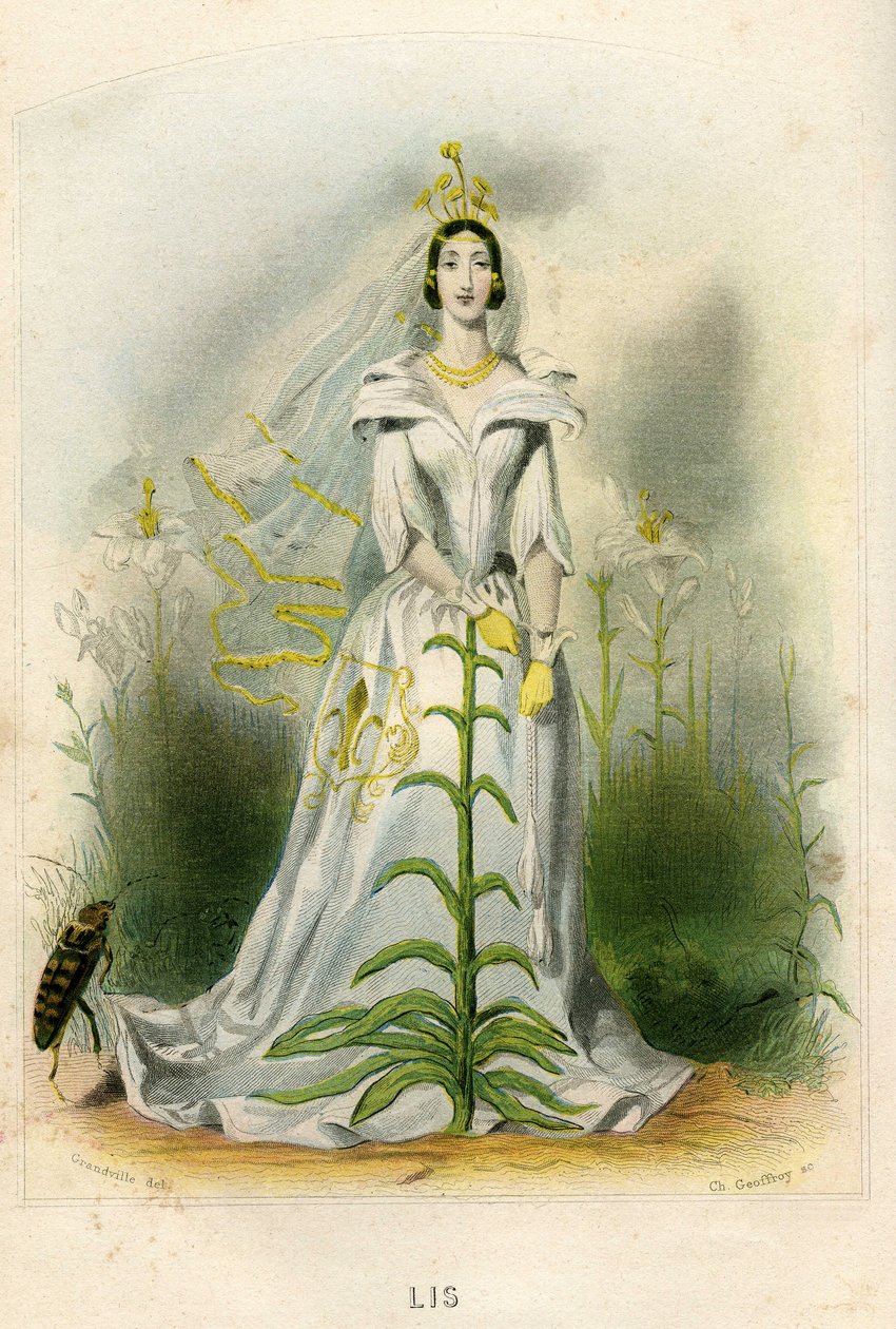 Illustration for 