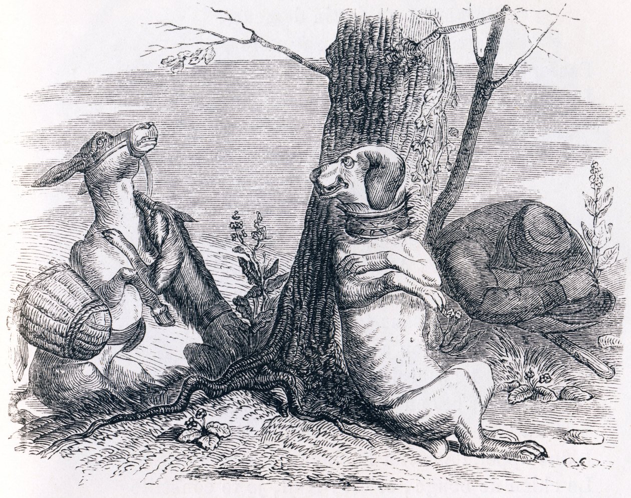 The donkey and the dog - Fables by La Fontaine by Grandville