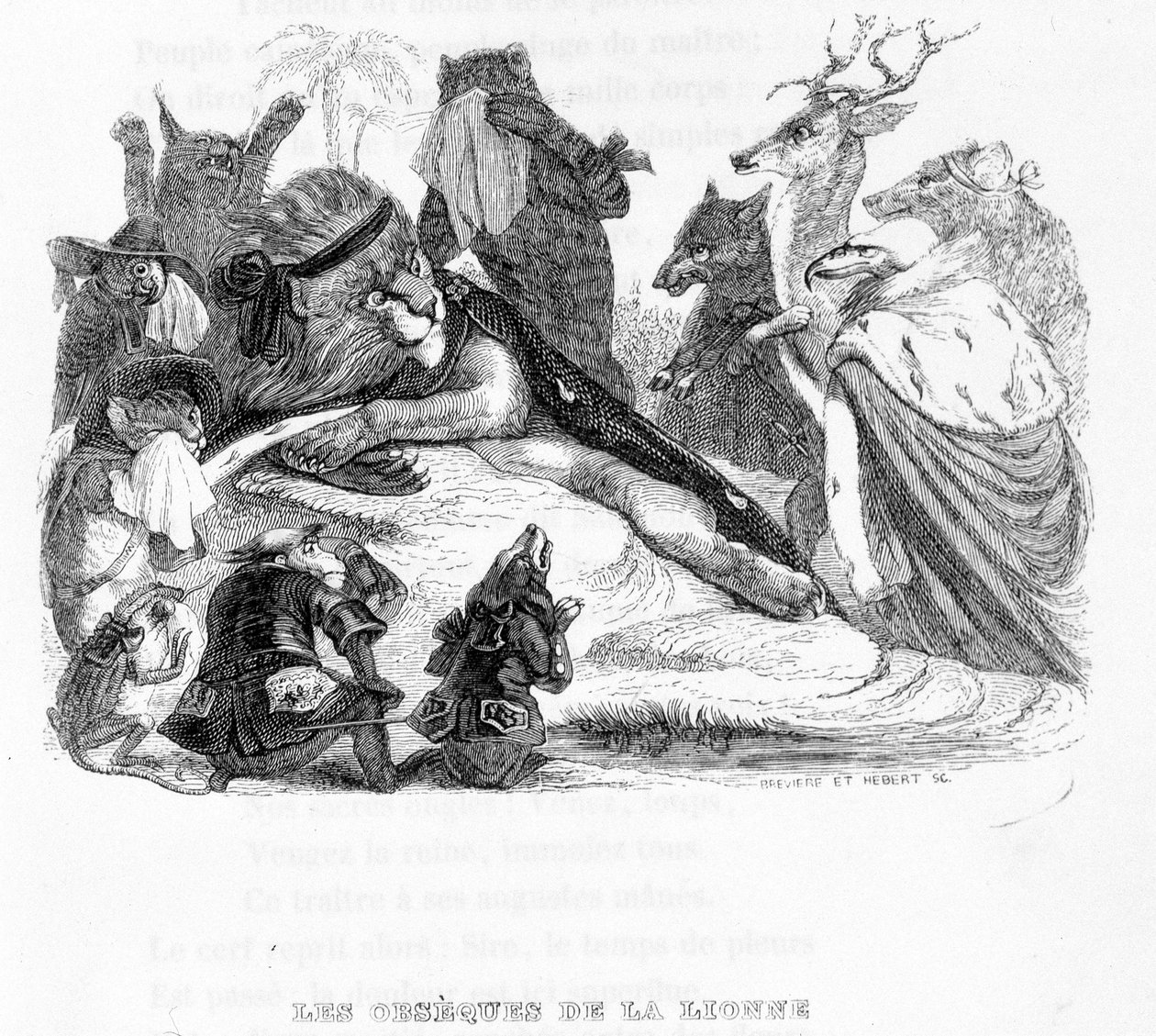 The funeral of the lioness - in Fables de La Fontaine ill. by Grandville by Grandville