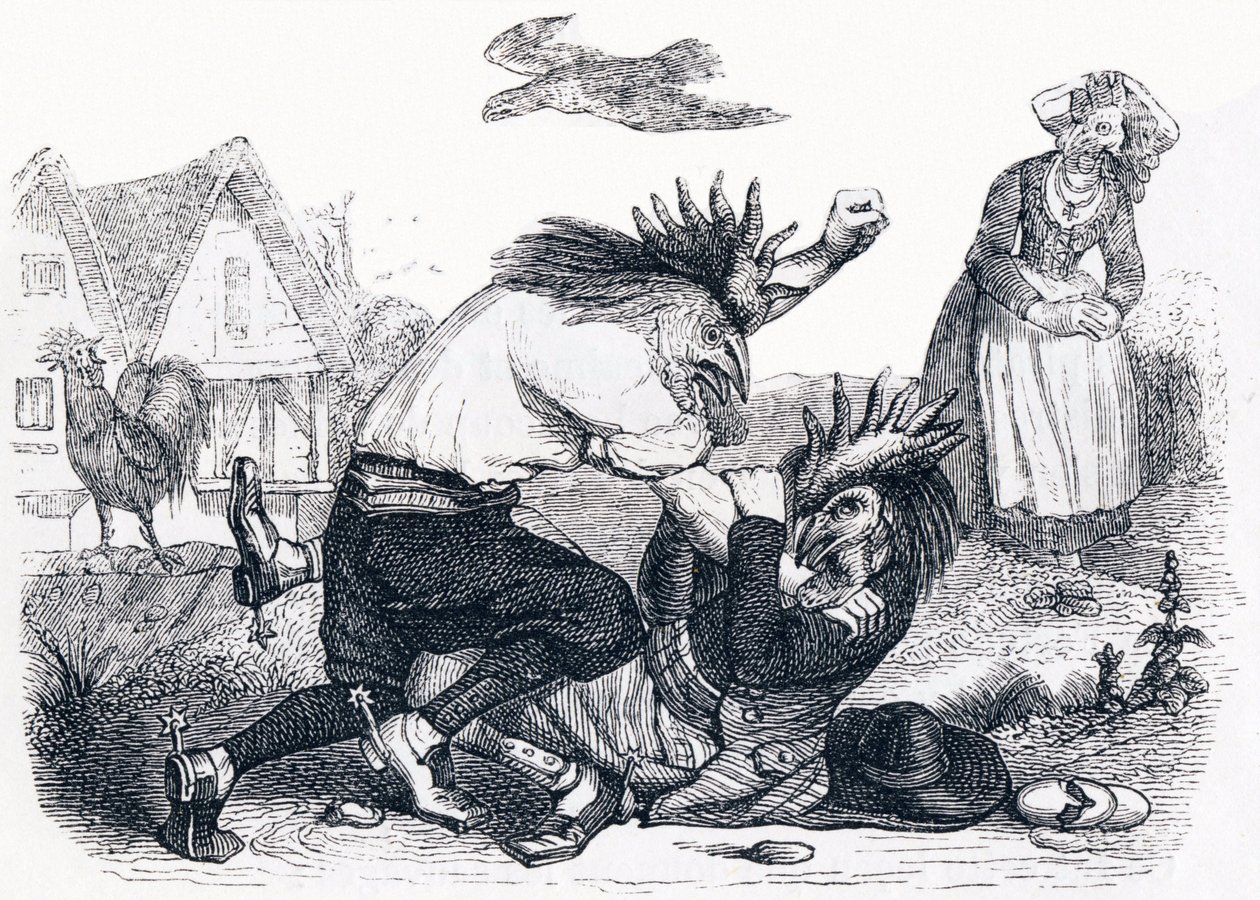 The Two Roosters - Fables by La Fontaine by Grandville