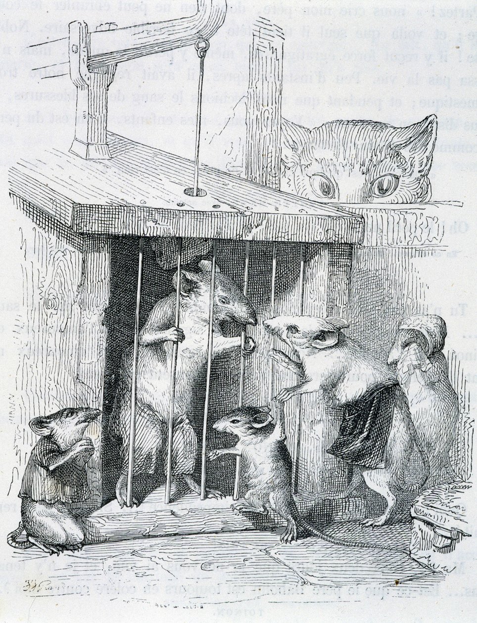 Trapped mouse surrounded by her torn family - by Grandville by Grandville