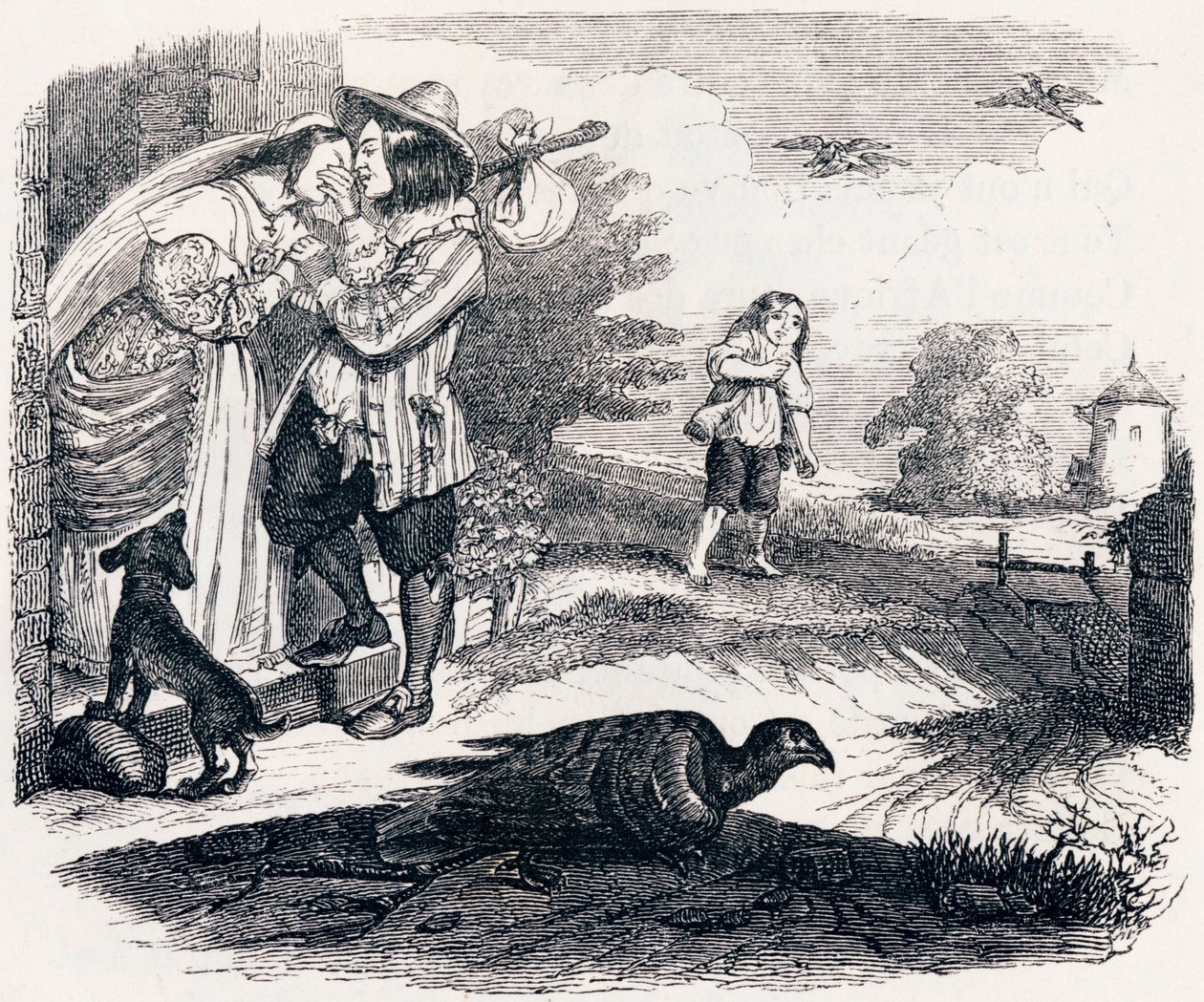 Both Pigeons - Fables by La Fontaine by Grandville