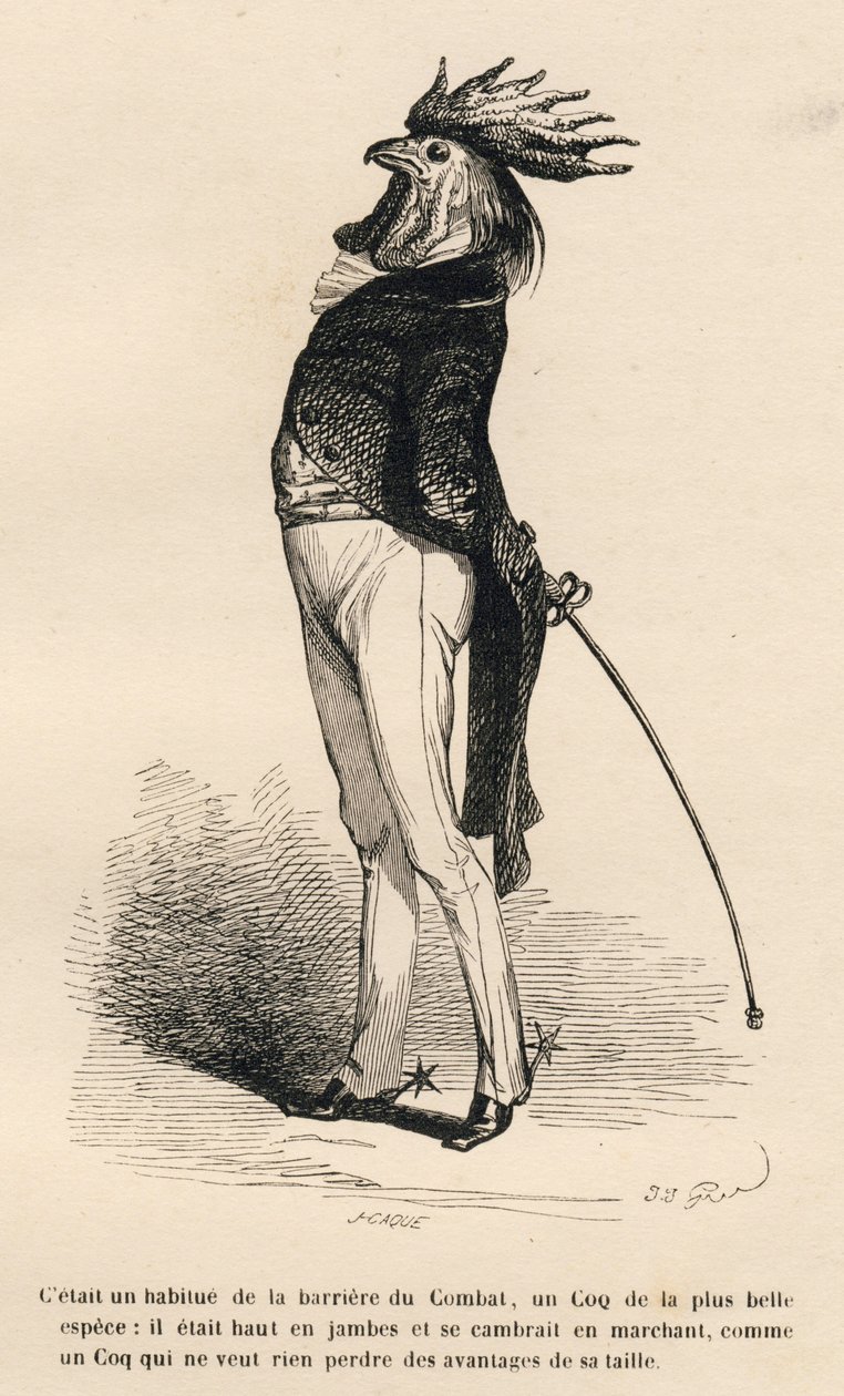 Rooster Used to the Combat Barrier Walking Proudly. Illustrated Vignettes by JJ Granville. Engraving Signed Caque in the Section 