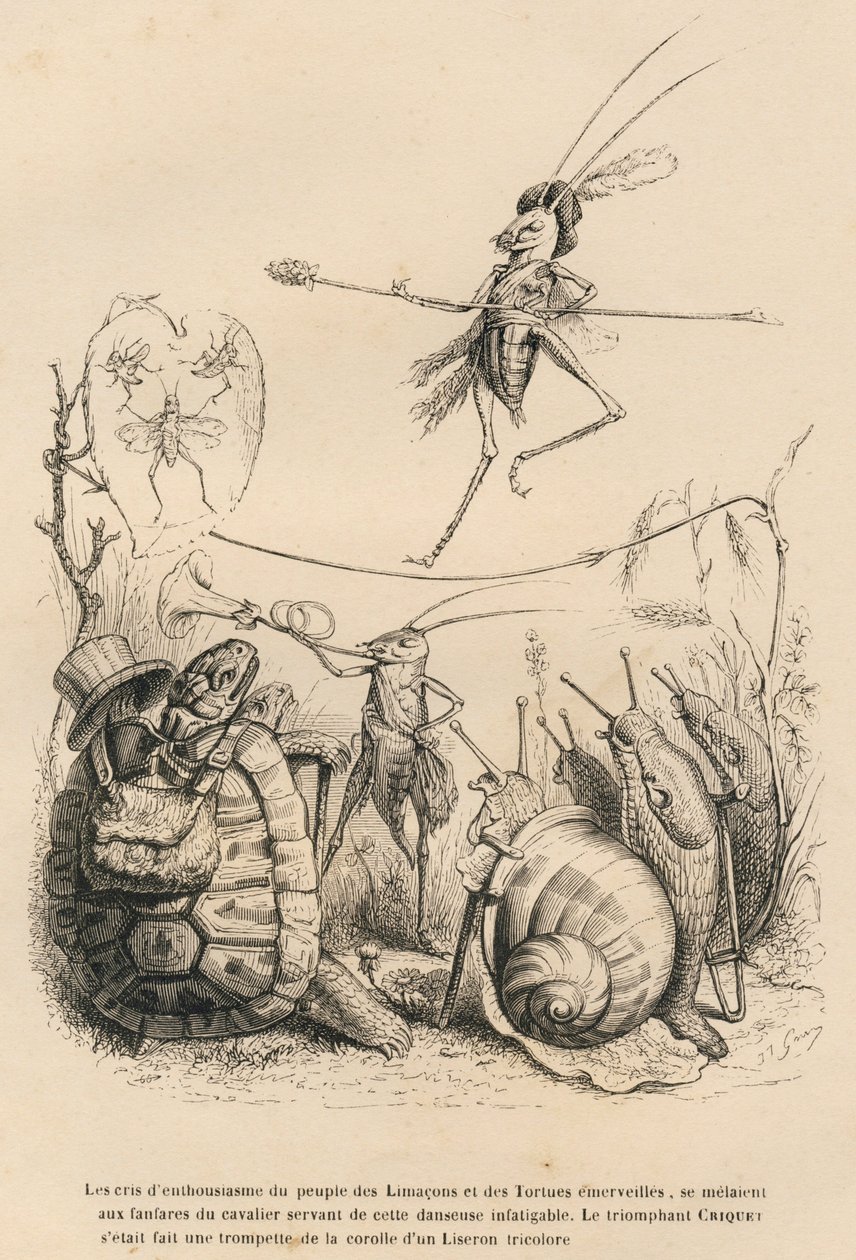 Cricket Playing the Trumpet in Front of a Turtle, a Snail, and Slugs. Above Him, Another Cricket Balances on a Wire. Illustrated Vignettes by JJ Granville. Engraving Signed Godard in the Section Titled 