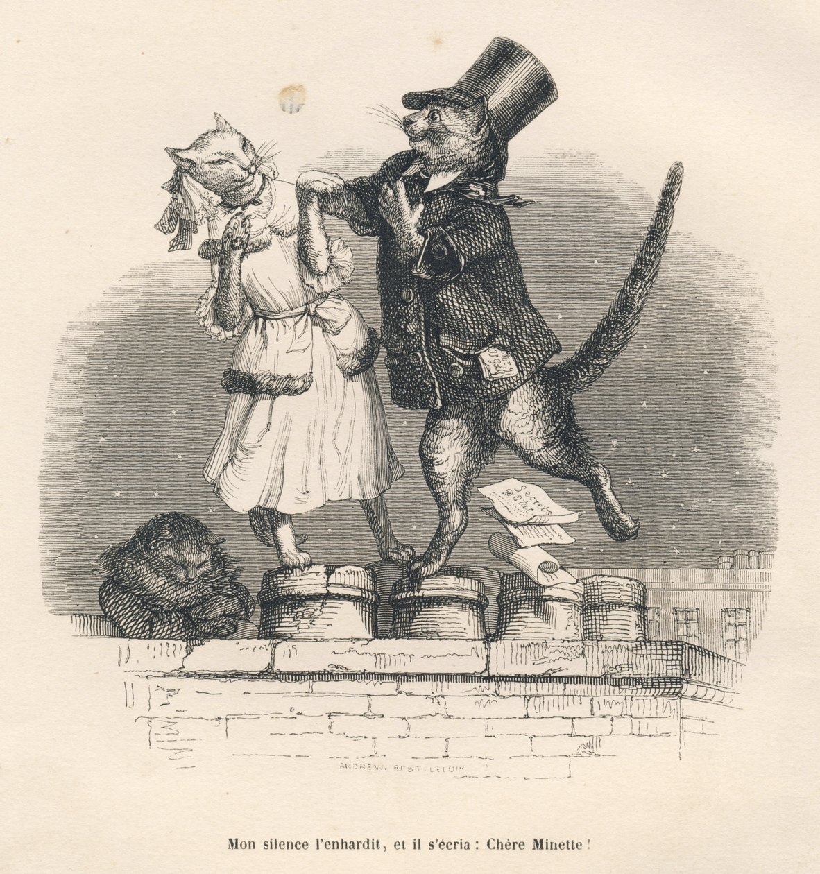 Two Cats Seducing Each Other on a Roof. Illustrated vignettes by JJ Granville. Engraving signed Andrew, Best and Leloir in the section titled 