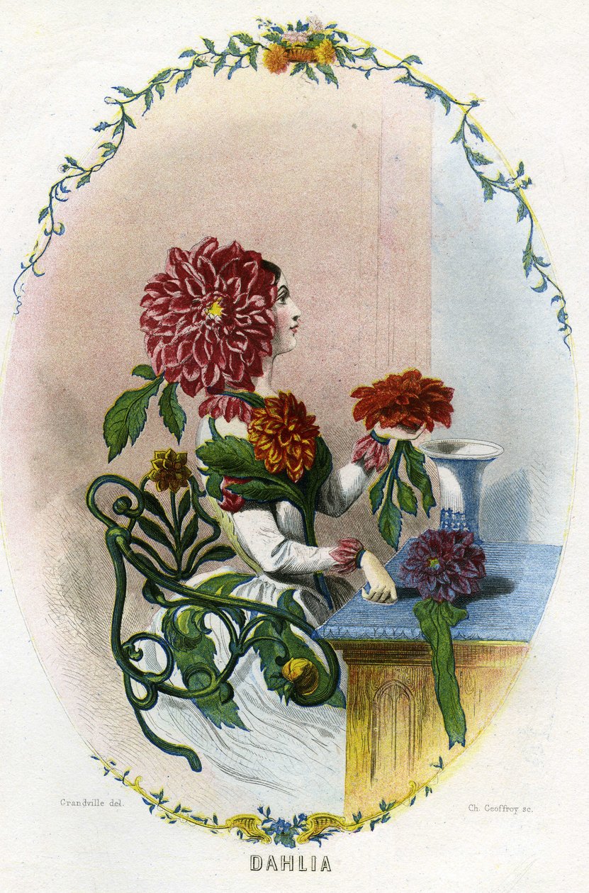 Illustration for 