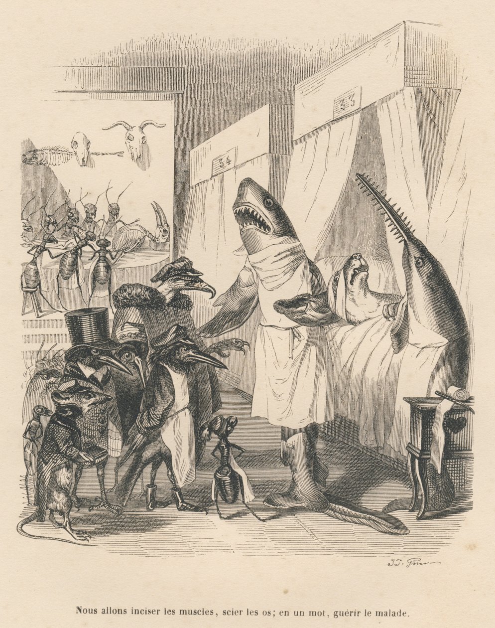 Shark Doctors Explaining Their Surgical Intervention. Illustrated Vignettes by JJ Granville. Engraving signed Godard in the section 