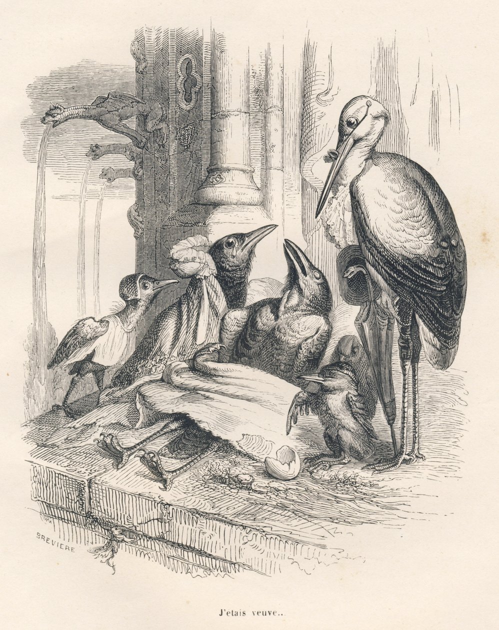 Death of a Raven Next to His Family and a Stork. Illustrated Vignettes by JJ Granville. Engraving Signed Breviere in the Section Entitled 
