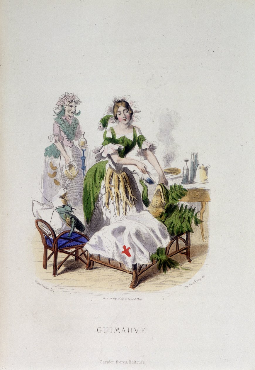 Personification of the medicinal plant Marshmallow treating a frog - in 