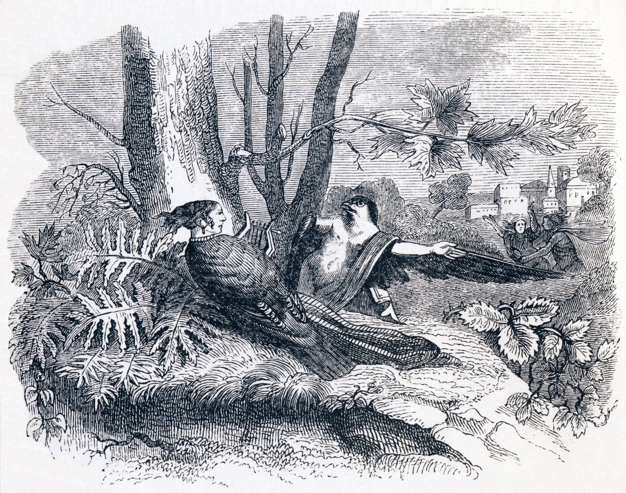 Philomele & Progne - Fables by La Fontaine by Grandville