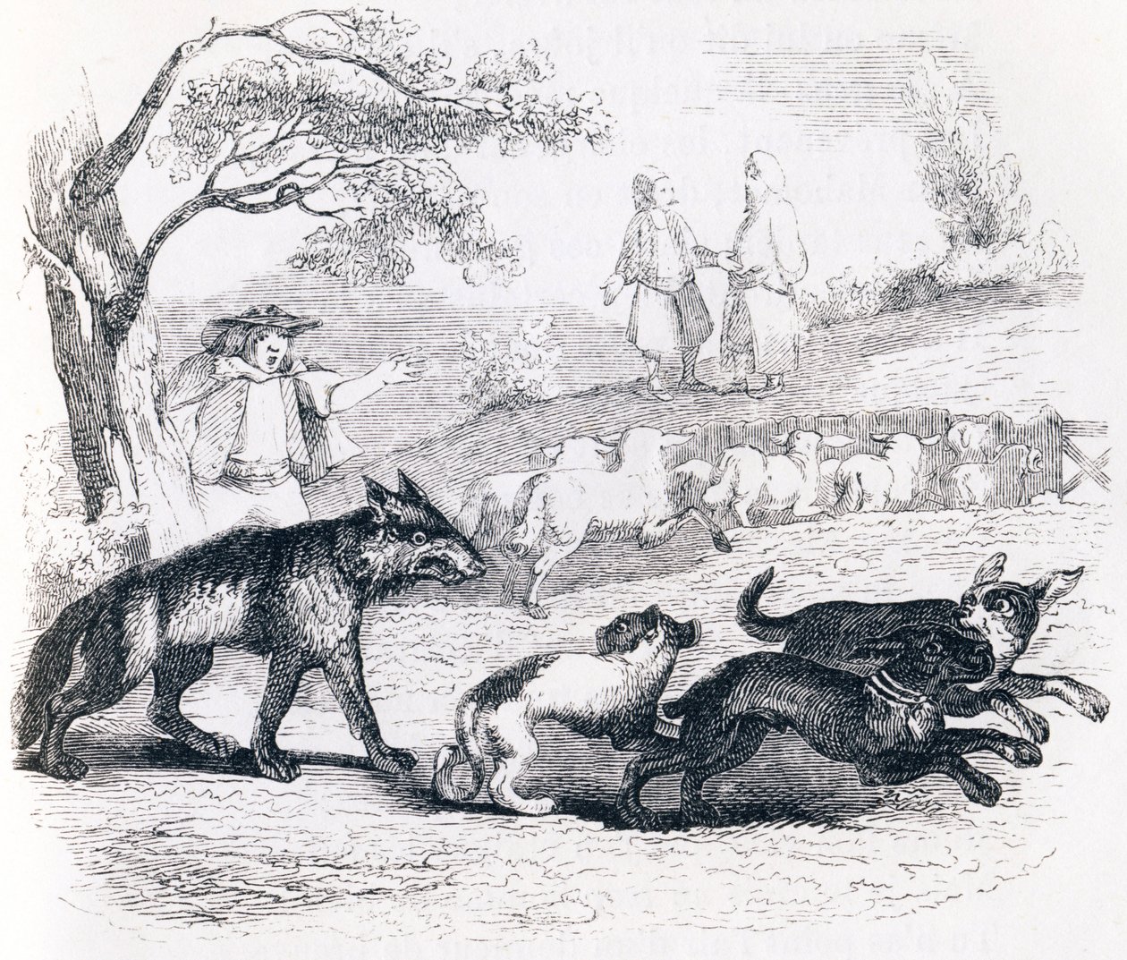 The Bassa and the Merchant - Fables by La Fontaine by Grandville