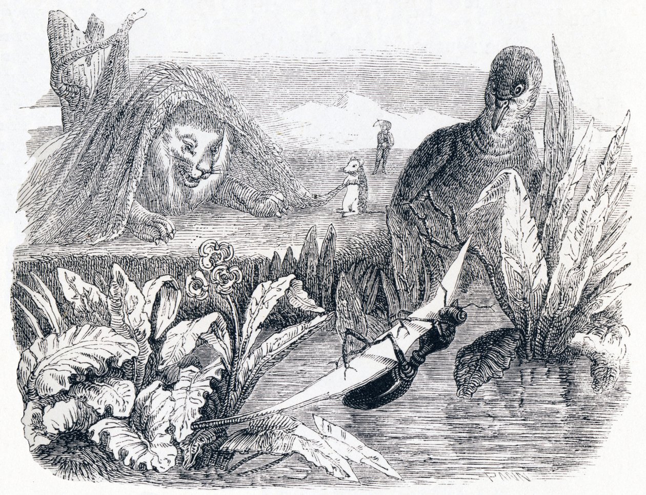 The Dove and the Ant - Fables by La Fontaine by Grandville