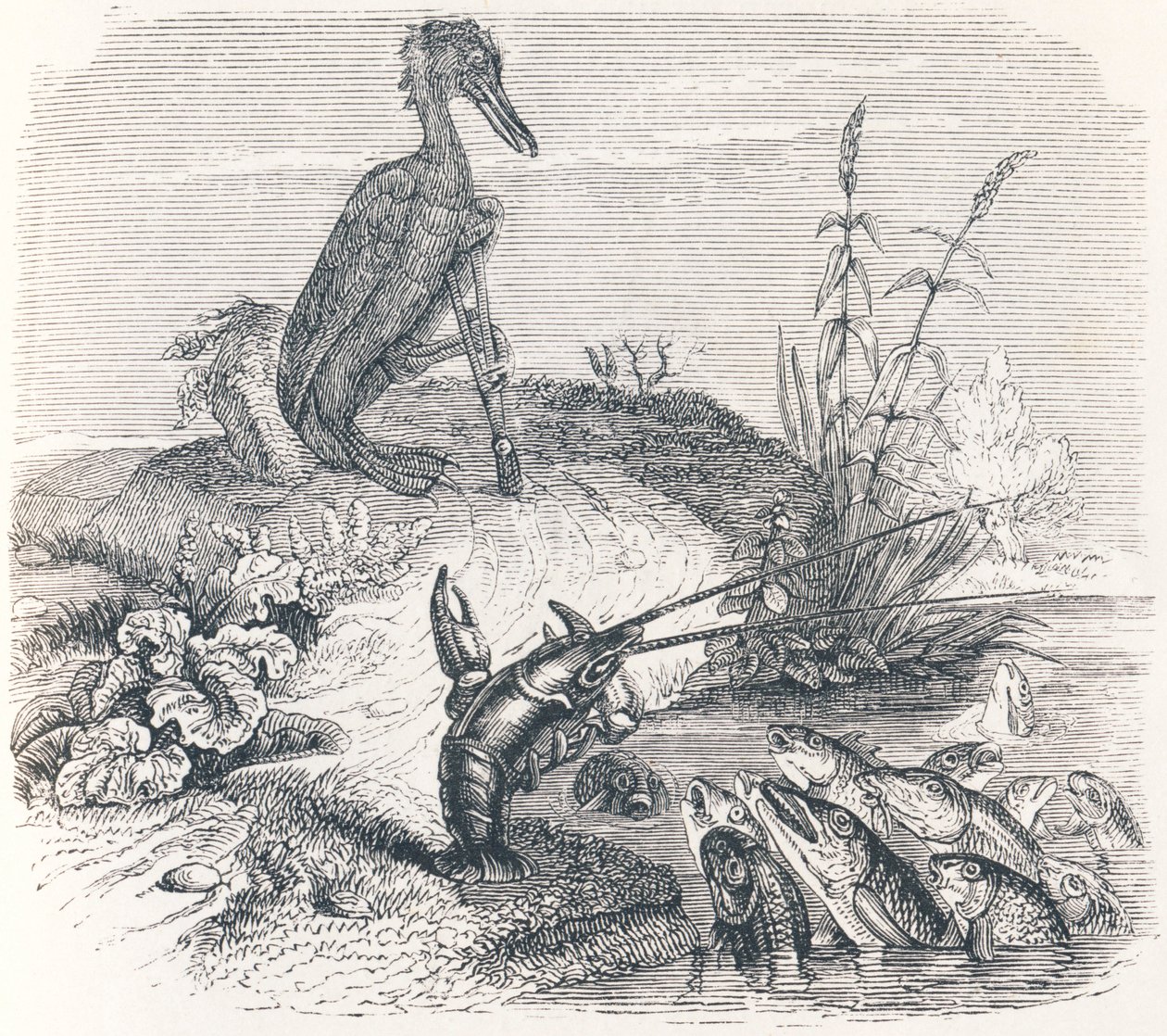 The fishes and the cormorant - Fables by La Fontaine by Grandville