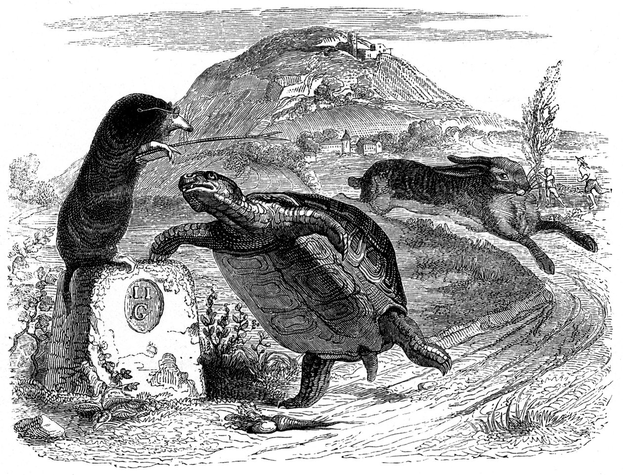 The hare and the turtle: La Fontaine fable illustrated by Grandville by Grandville (1803 47)