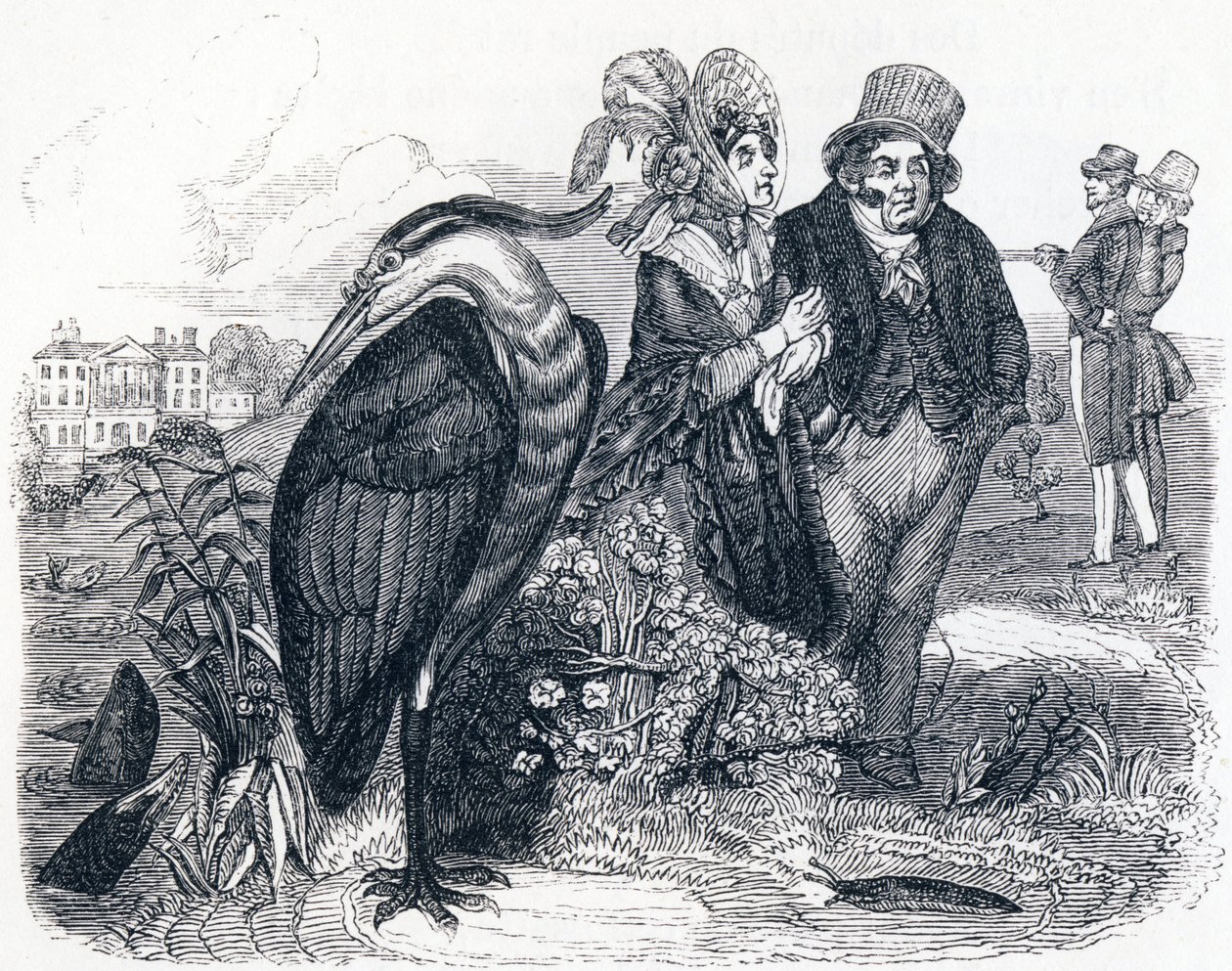 The Heron - Fables by La Fontaine by Grandville