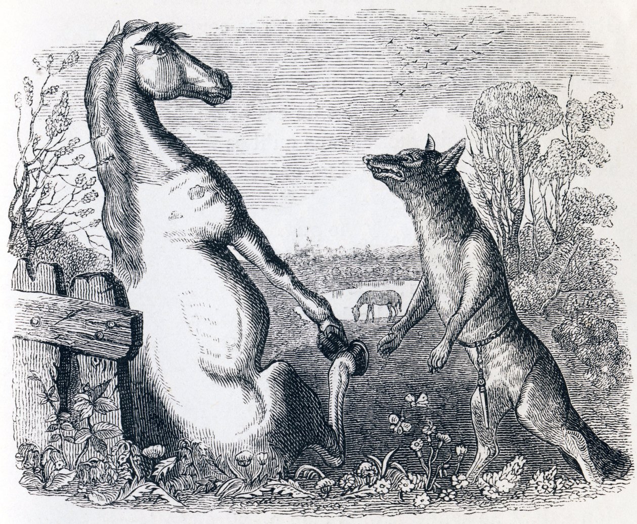 The Horse and the Wolf - Fables by La Fontaine by Grandville