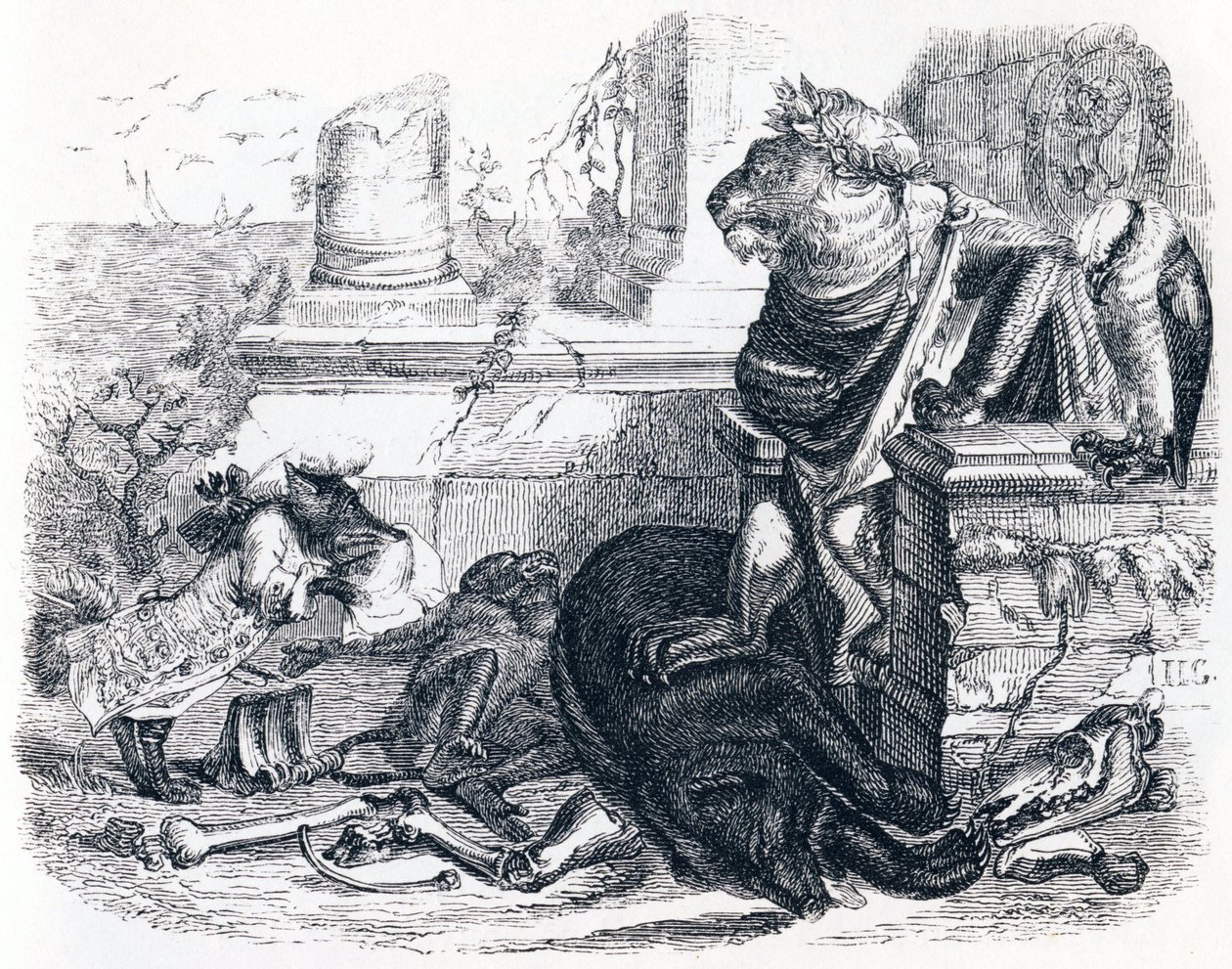 The Lion