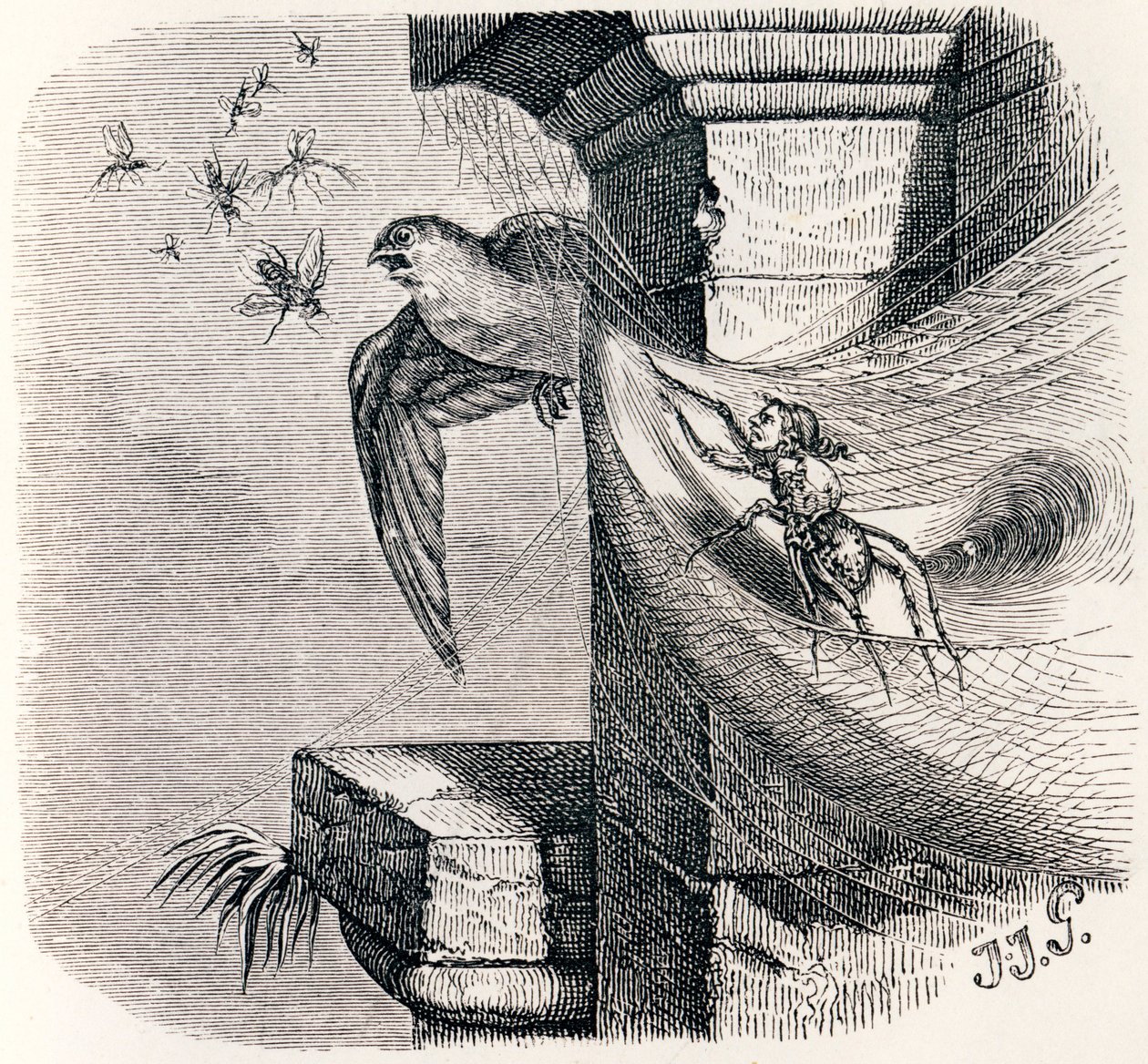 The Spider and the Swallow - Fables by La Fontaine by Grandville