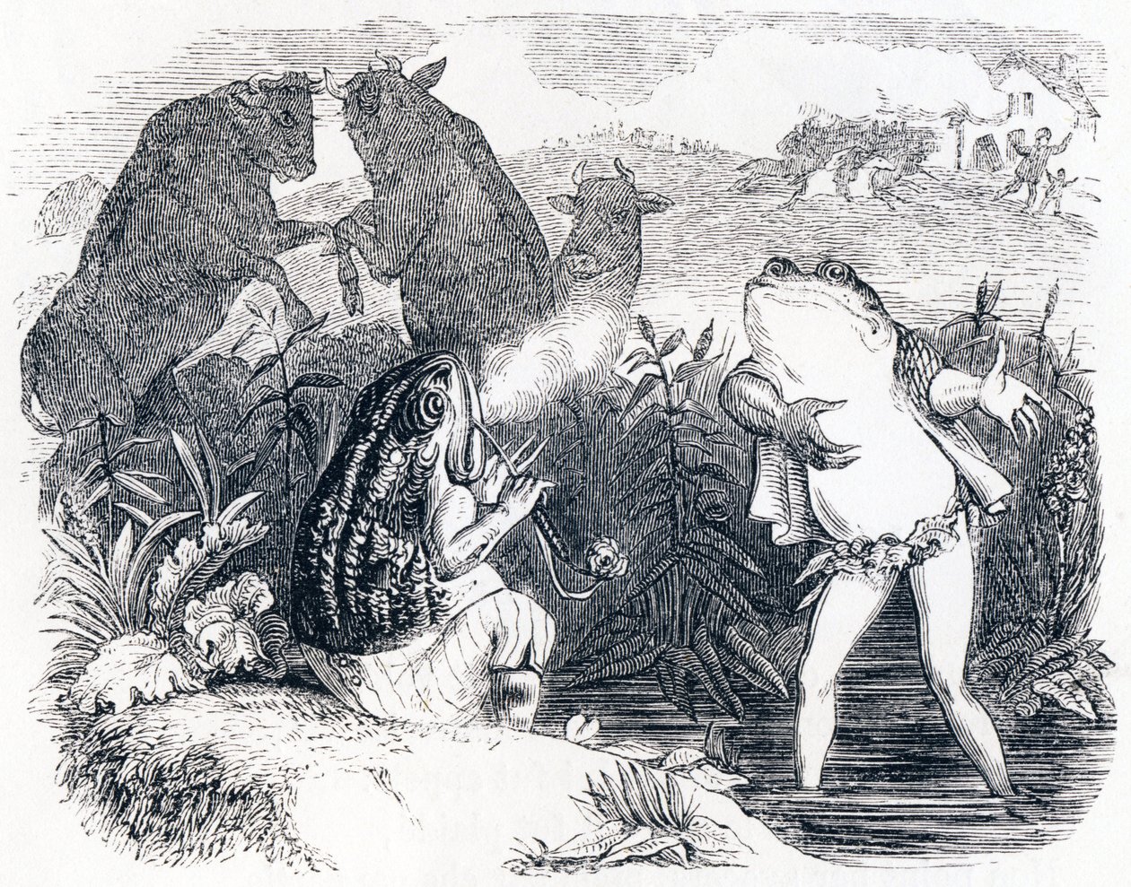 The two bulls and a frog - Fables by La Fontaine by Grandville