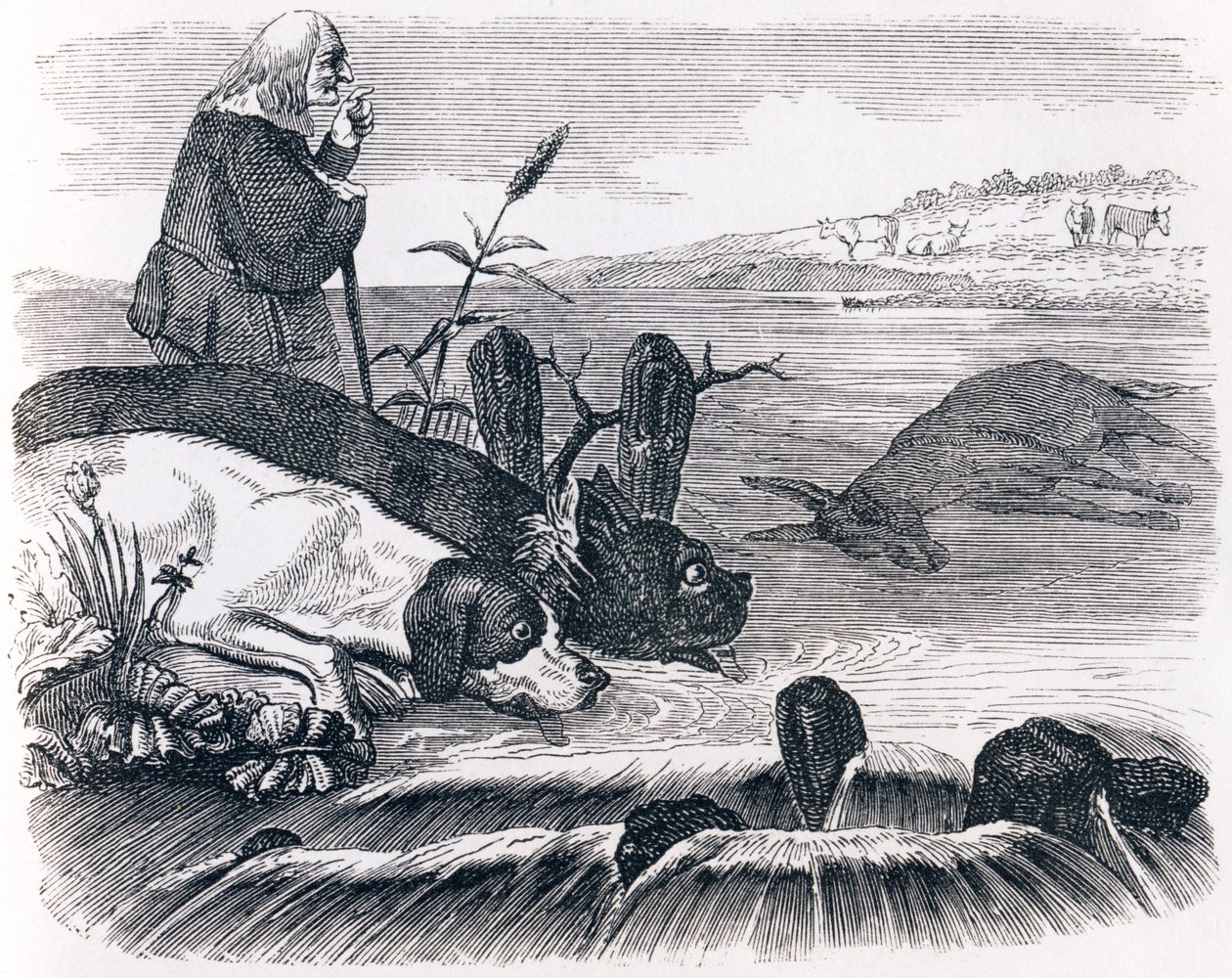 The Two Dogs and the Dead Donkey - Fables by La Fontaine by Grandville