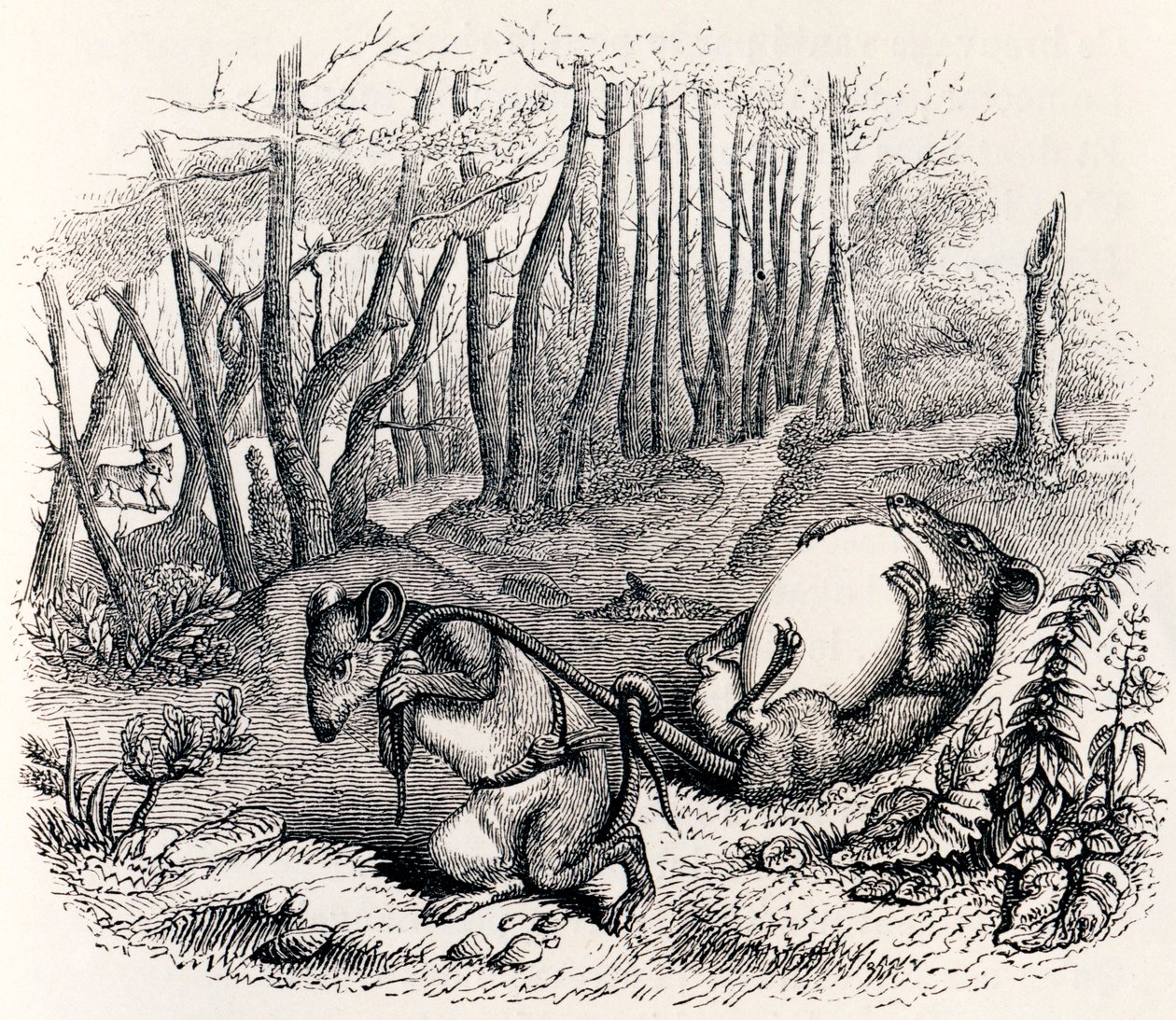 The Two Rats, the Fox and the Egg - Fables by La Fontaine by Grandville
